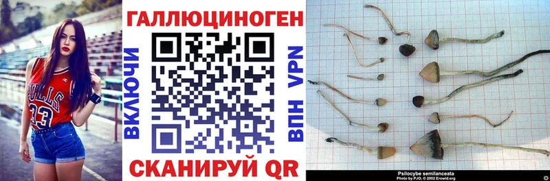 Псилоцибиновые грибы мухоморы  Ладушкин 